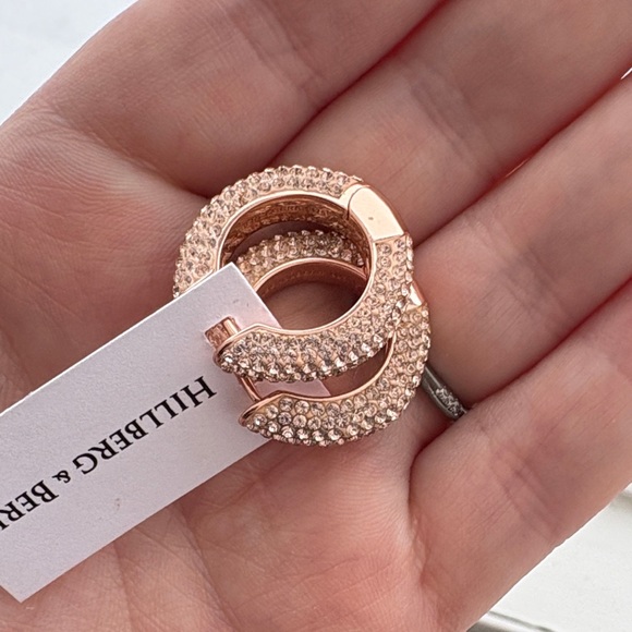 Hillberg & Berk Rose Gold Earrings (sold ppu) - Picture 6 of 7